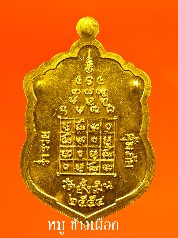 เหรียญเสมา___ครูบาอินถา____เนื้อทองคำ____ปี2554____1 ใน 5 องค์ครับ