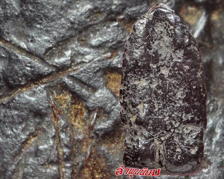 พระเกศาครูบาเจ้าศรีวิชัย พิมพ์พระรอดยุคต้นเเบบเเนวคลาสสิคครับ