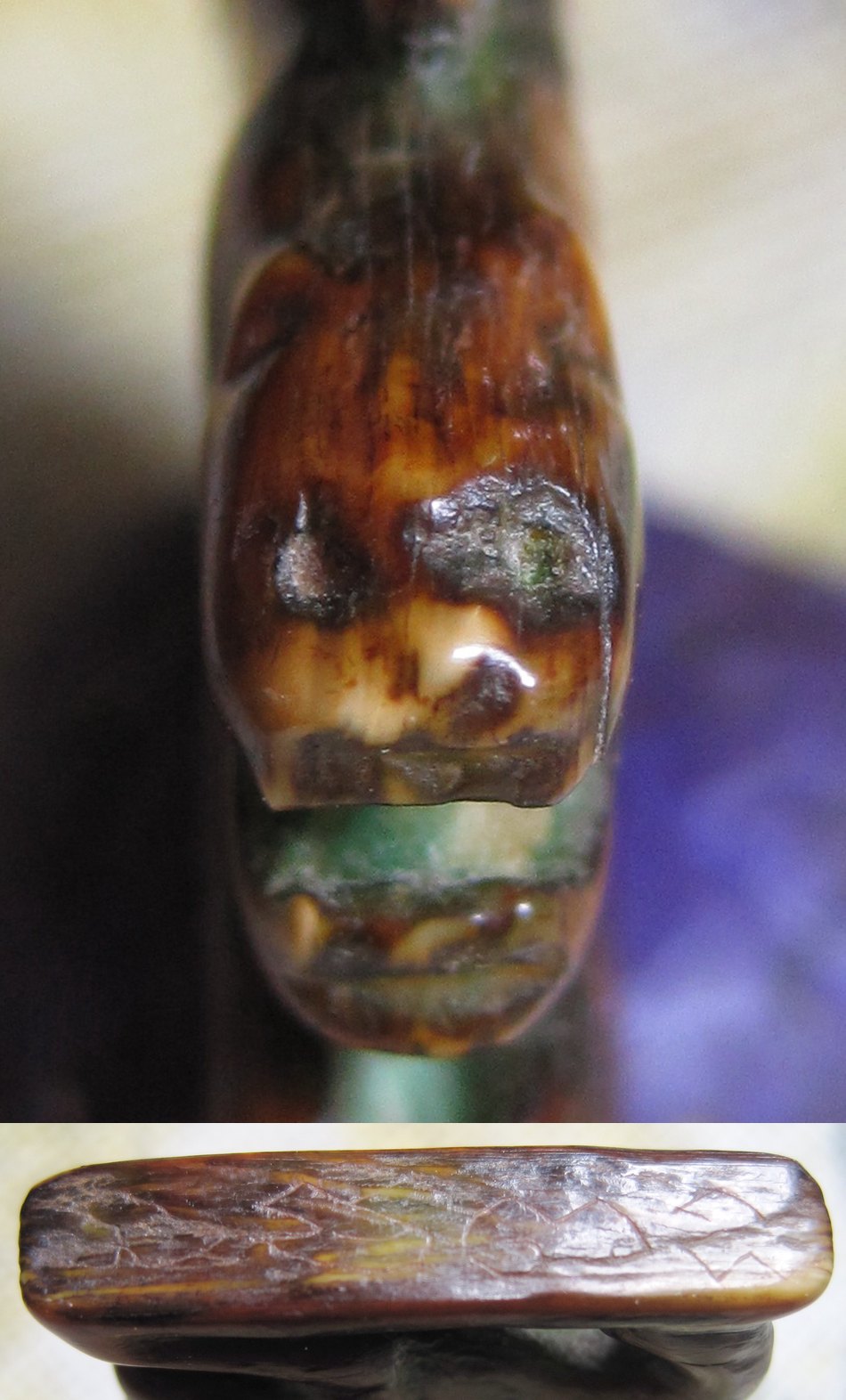 เสือมาครับ   เสือ.........