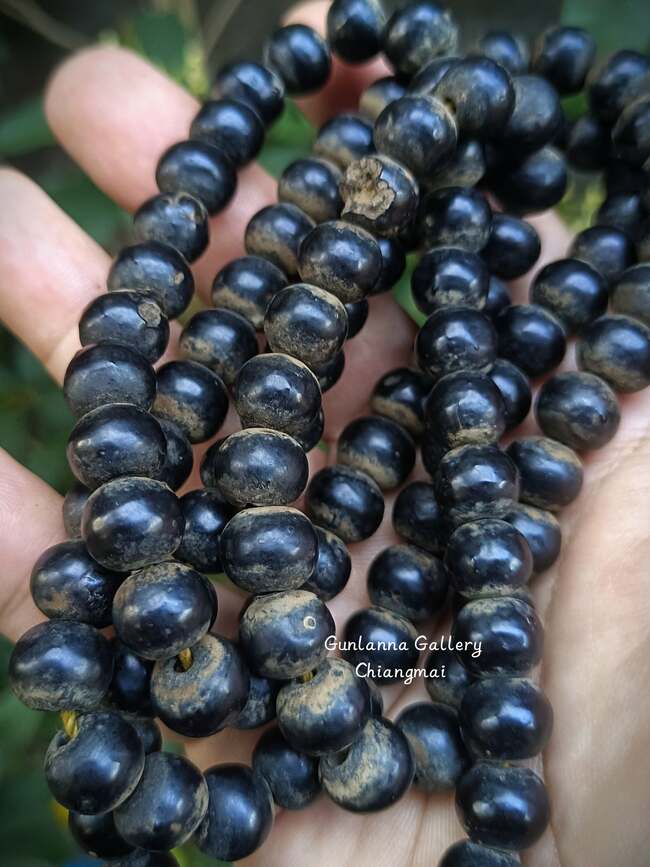 ประคำสมุกรักเก่า (แกนทองแดง)