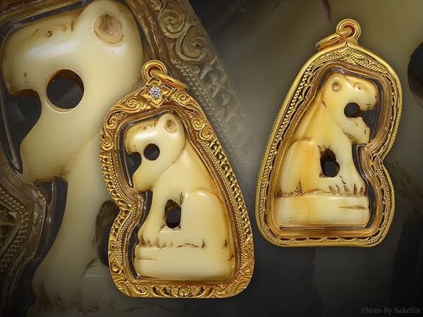 เสือครูบาน้อย วัดบ้านปง เชียงใหม่