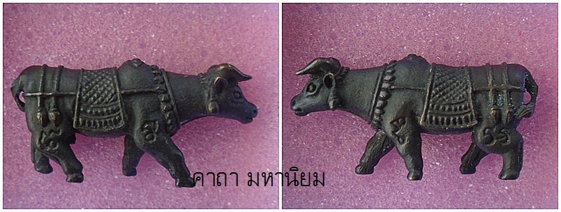 วัวธนูทรงเครื่อง หลวงพ่อแสนเมือง วัดท่าแหน