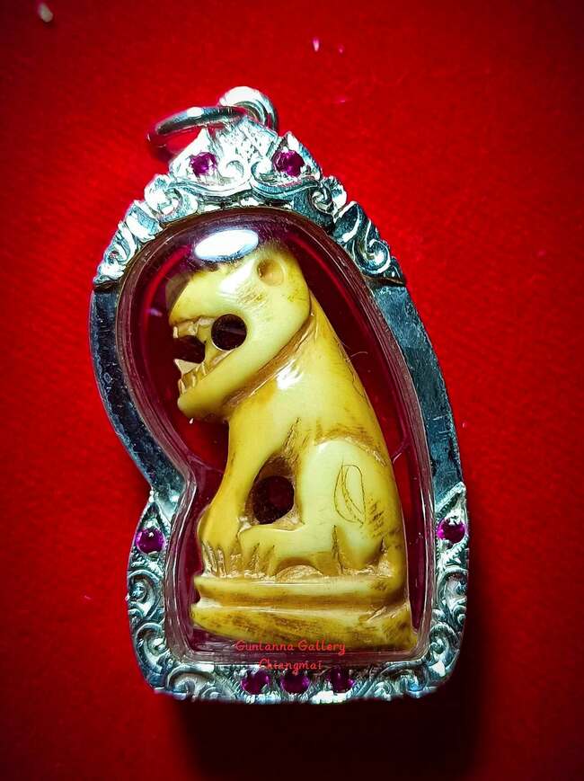 เสือมหาอำนาจครูบาหน้อย วัดบ้านปง