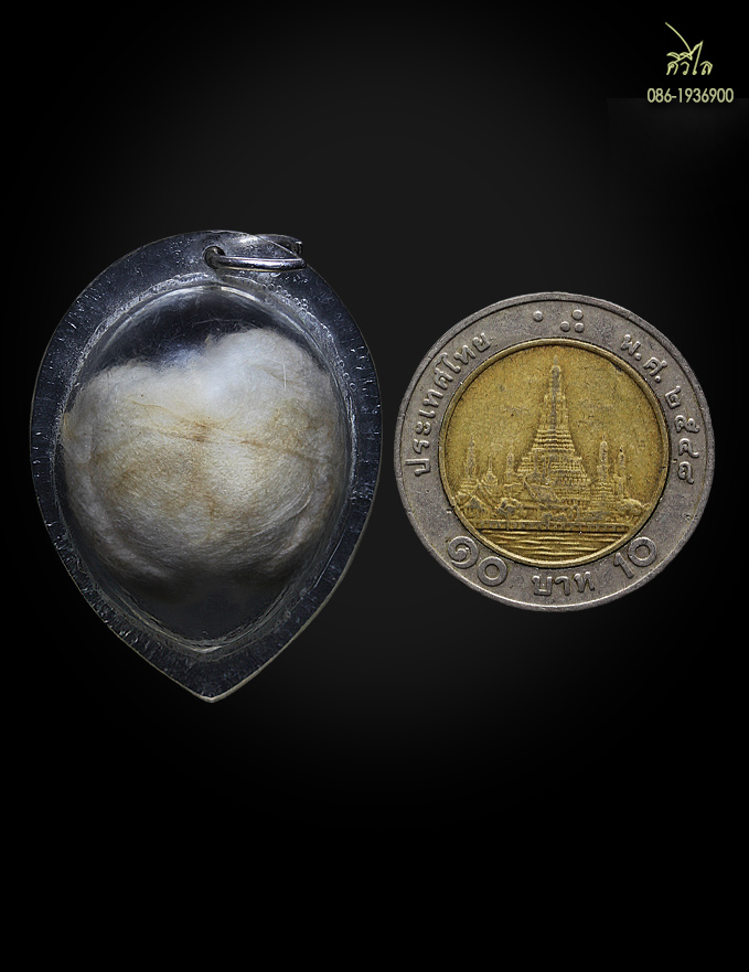เต่าสำลีครูบาชัยวงค์ วัดพระพุทธบาทห้วยต้ม #เลี่ยมเดิมจากวัด