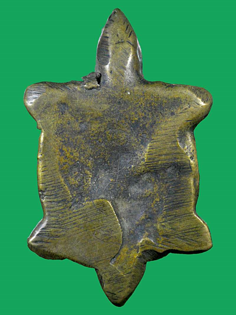 เต่าหลวงพ่อเงิน วัดบางคลาน มีจาร