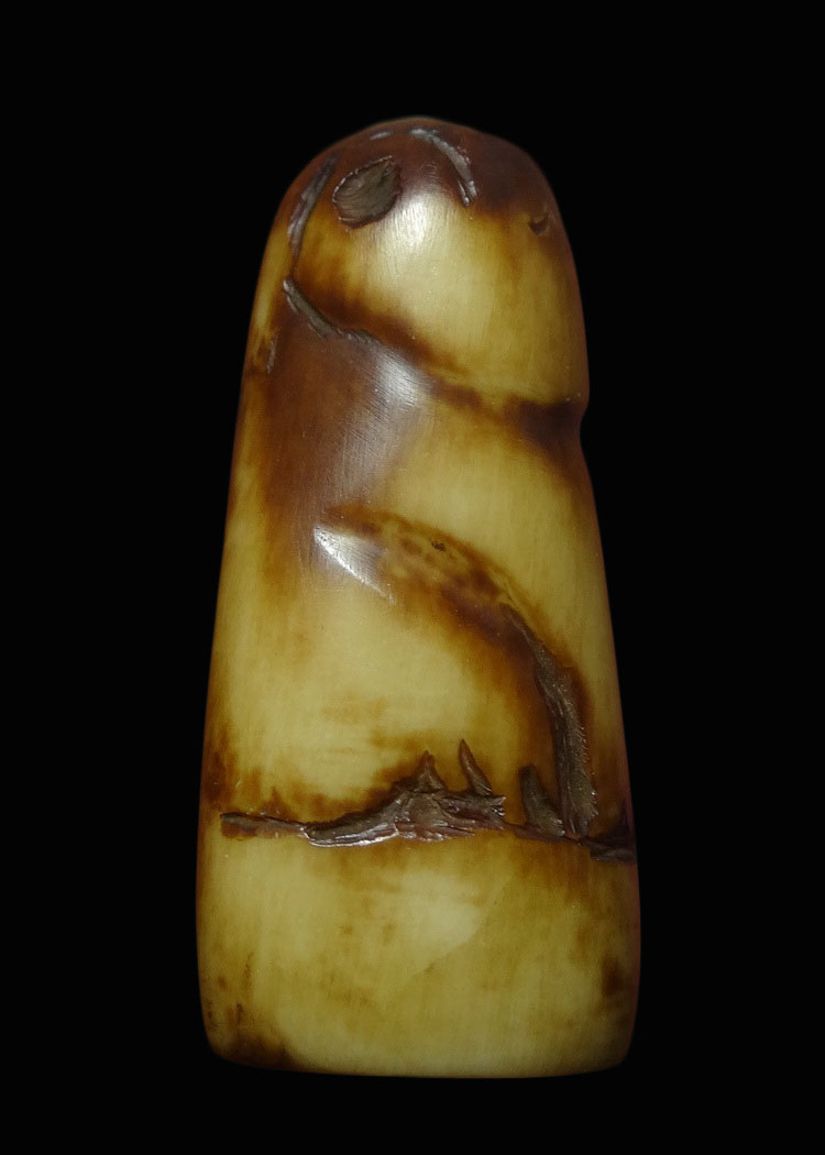 เสือ เขี้ยวเสือแกะ