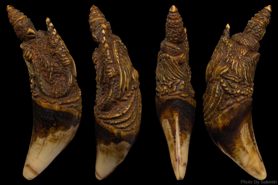 เขี้ยวหมีเเกะเก่า พญาครุฑจับพญานาค