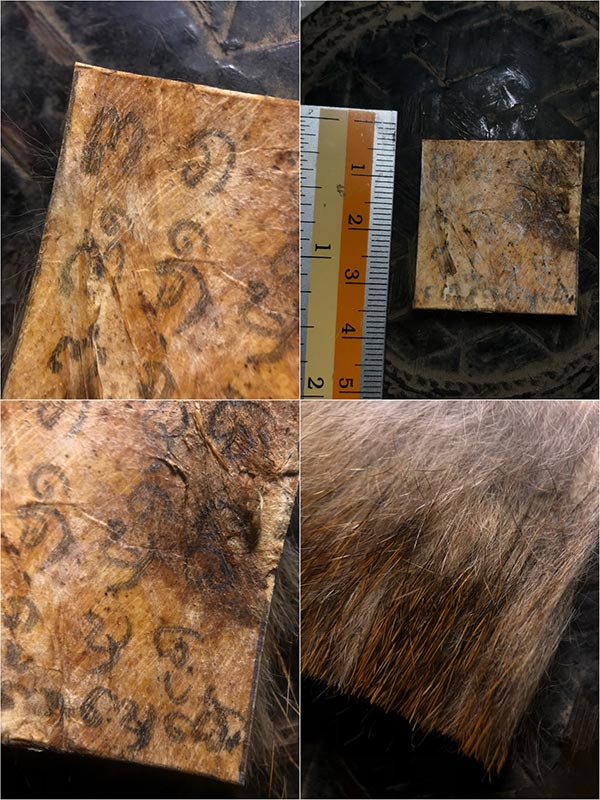 แผ่นยันต์หนังเสือครูบาวังวัดบ้านเด่น