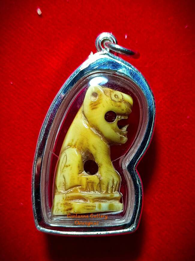 เสือมหาอำนาจครูบาหน้อย วัดบ้านปง