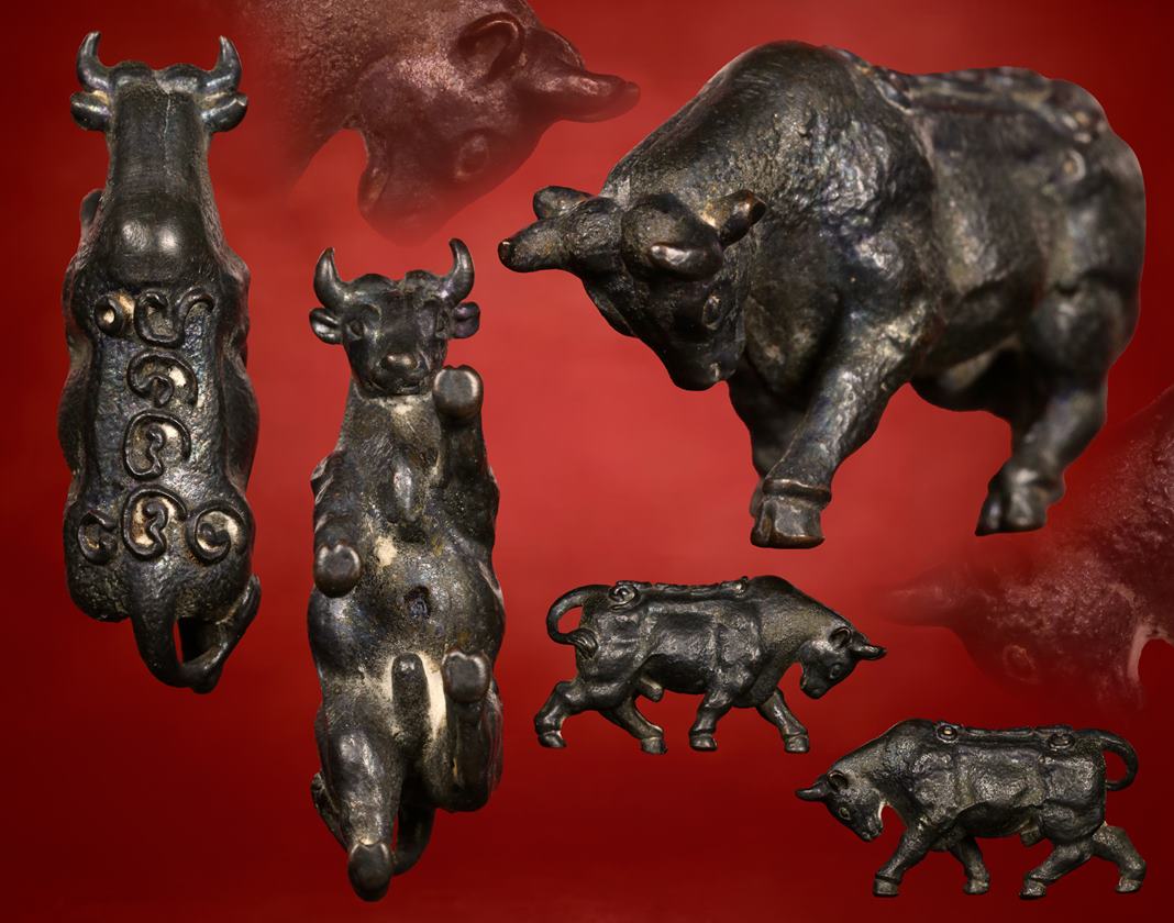 วัวธนูหลวงปู่คำแสน รุ่น 1 ( 8 แชมป์ )