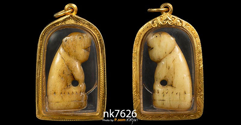 เสือหลวงพ่อสาย กระดูกเสือแกะ วัดมงคลโคธาวาส(บางเหี้ย) จ.สมุทรปราการ ปี 2470