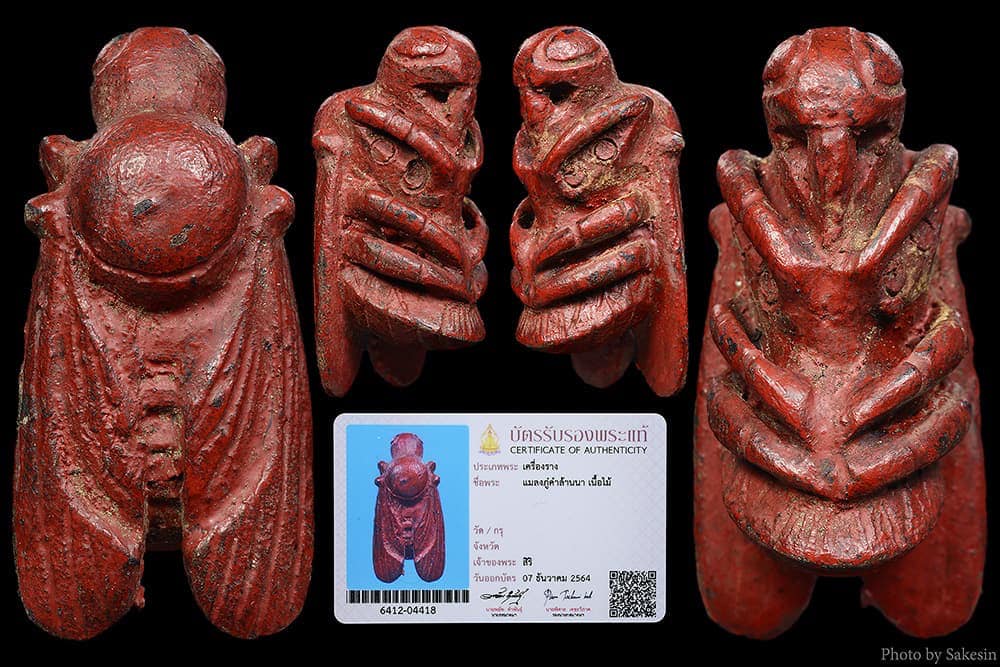 แมลงภู่คำพม่า เนื้อไม้ดุมล่อแกะลงรักลองชาด