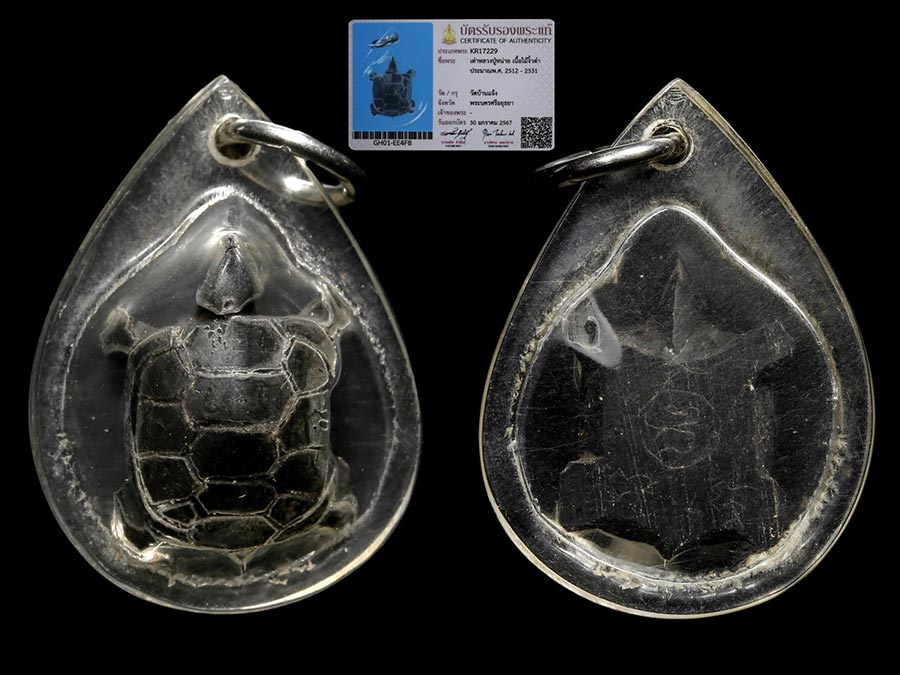 เต่าเรือนงิ้วดำหลวงปู่หน่ายวัดบ้านแจ้ง