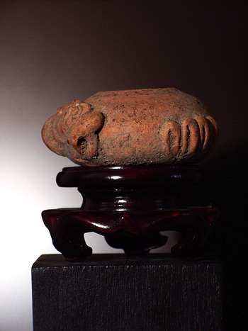 ***...ปูแพงที่สุดในโลก...***