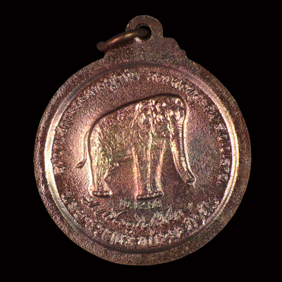 เหรียญพญาช้างเผือก หลวงปู่สมชาย สวยมากครับ