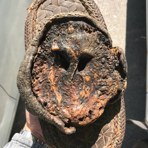 งวงช้างเครื่องรางทนสิทธิ์