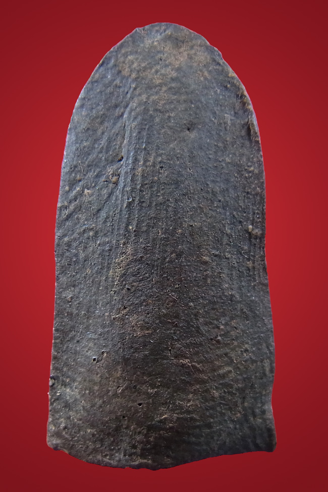 หน้าหนูใหญ่ เขียว สวย สะอาด 