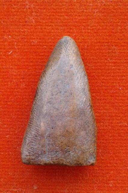 ครูบาหลังย่น เคาะเดียว