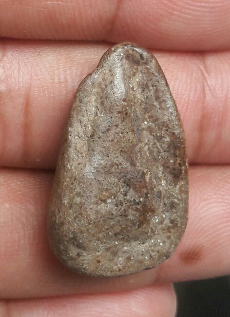 ลูกแป้งเดี่ยว กรุพิกุล