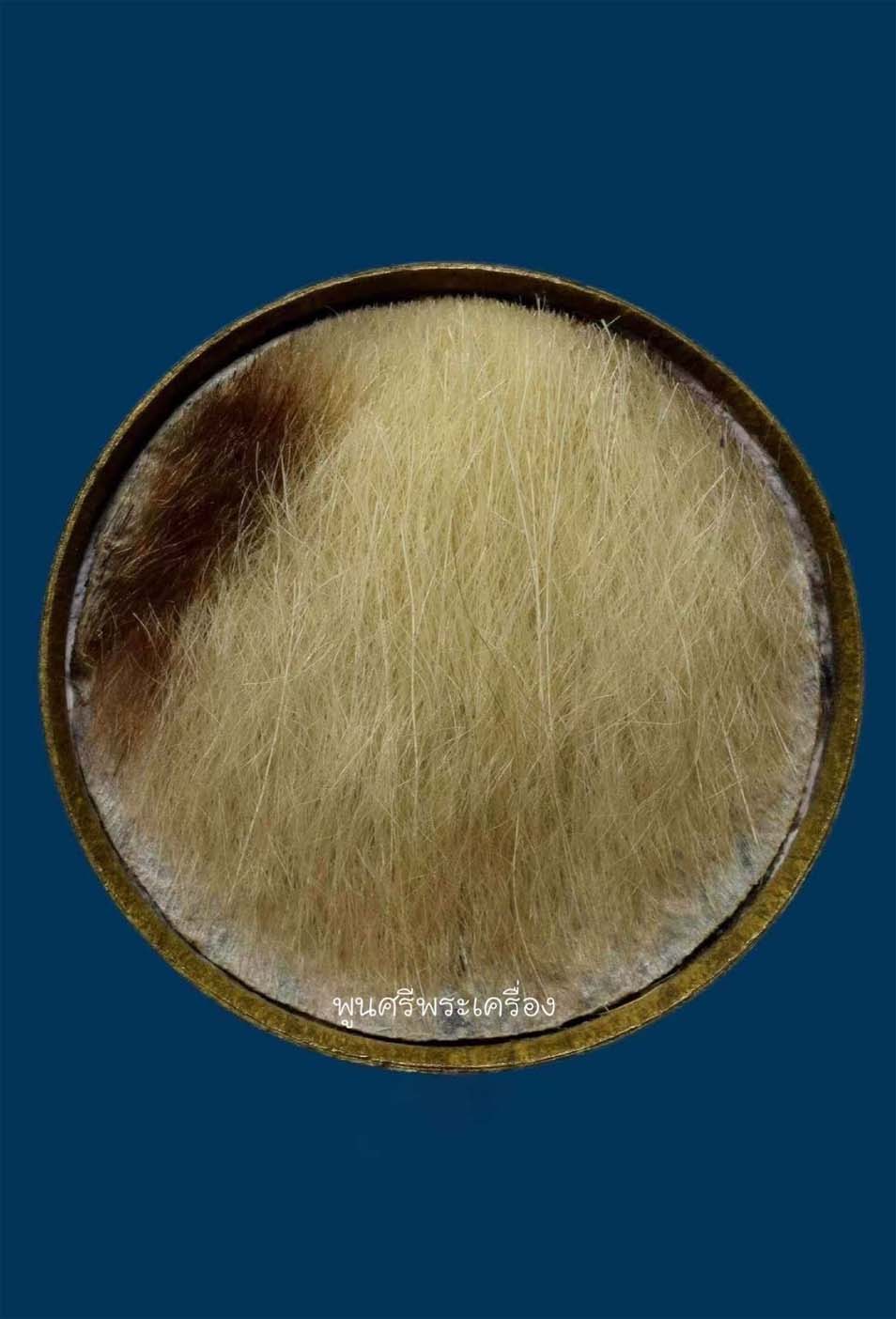 ตลับยาหม่อง หลวงพ่อเต๋ พิมพ์ใหญ่