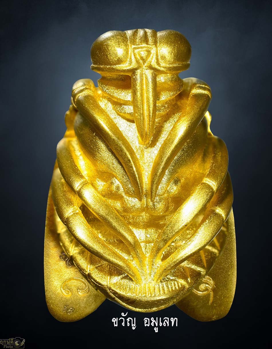 แมลงภู่คำ ทองคำ รุ่นแรก วัดป่าแดด