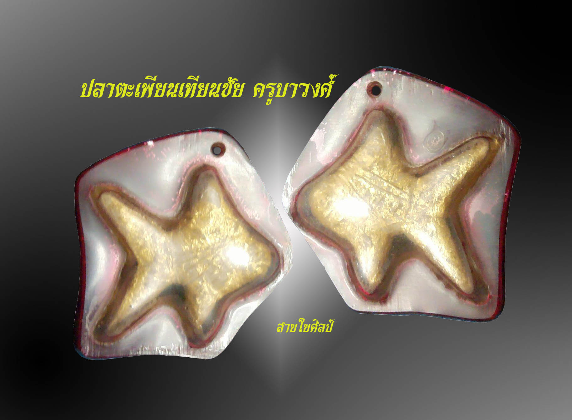 ปลาตะเพียนเทียนชัย  ครูบาวงศ์