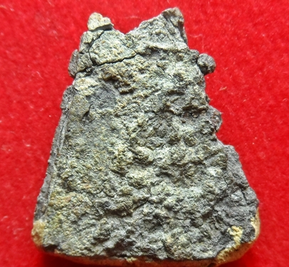 พระนางสุโขทัย เนื้อชิน.