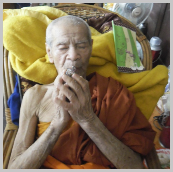             " จิ้งจกเฒ่า กิน ต่อเงิน บนก้านไม้มะยมแก่ "