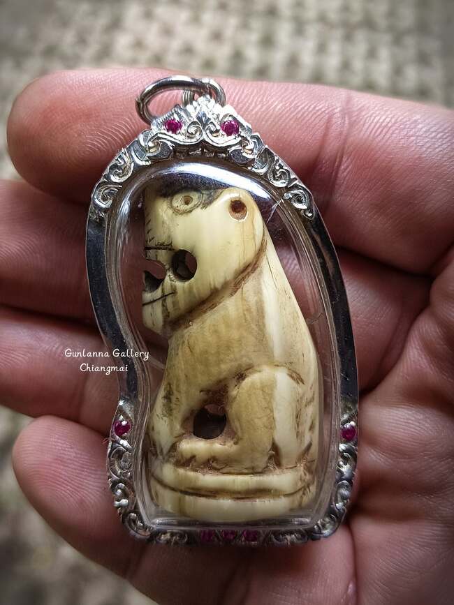 เสือมหาอำนาจครูบาหน้อย วัดบ้านปง2