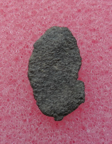 พระพิจิตรเกศคด