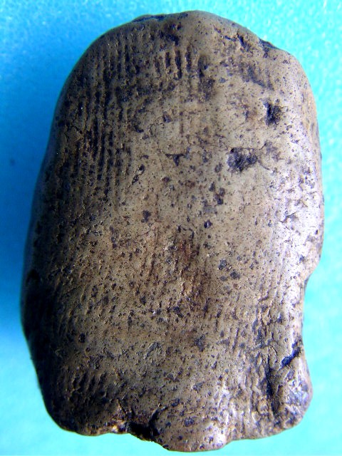 พระคงเขียวคราบเหลืององค์ล่ำๆ