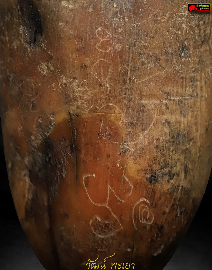 งากำจัด-งากำจาย ( งาสะเด็น )  