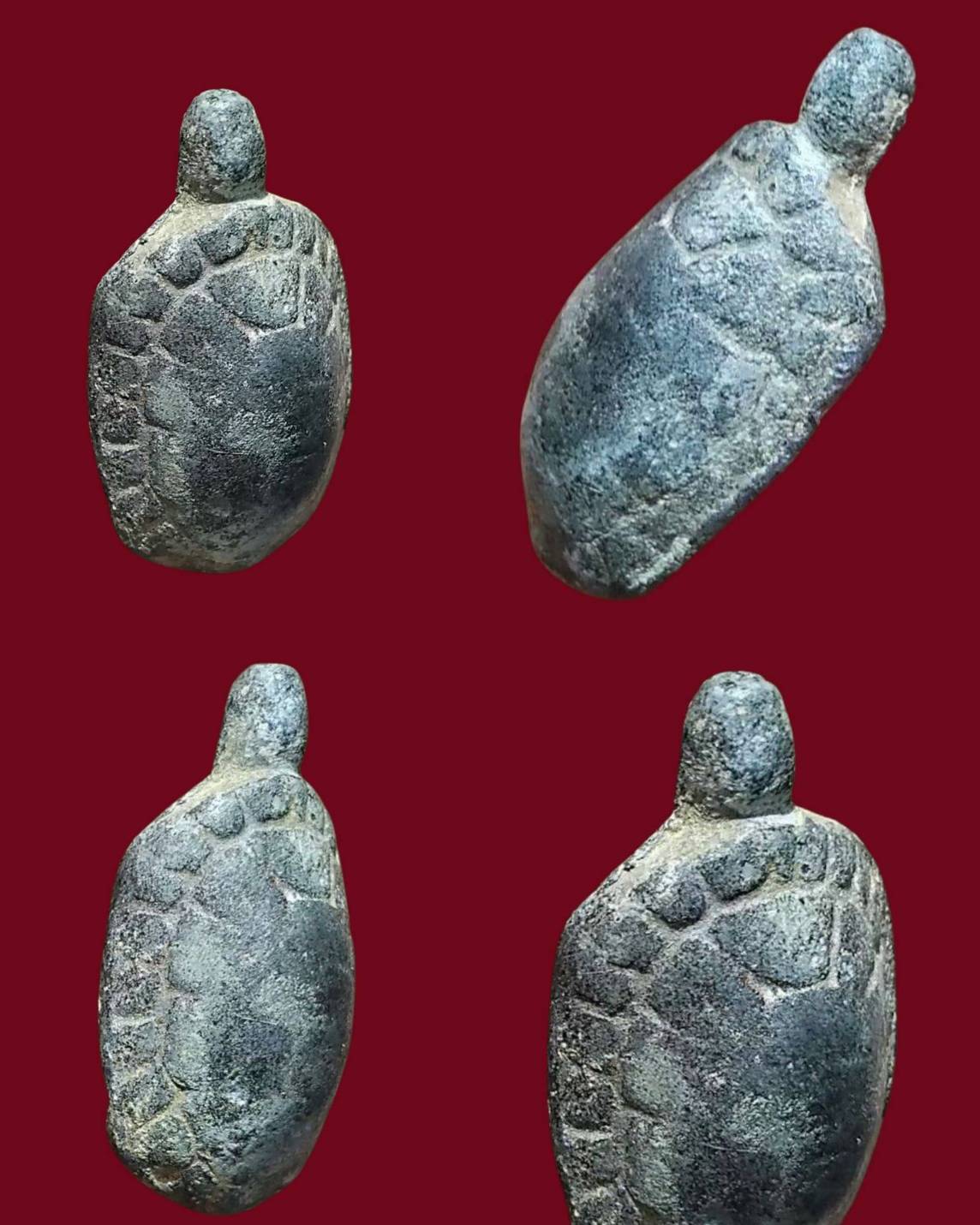 พญาเต่าเรือน ลป.ศุข  เนื้อชิน