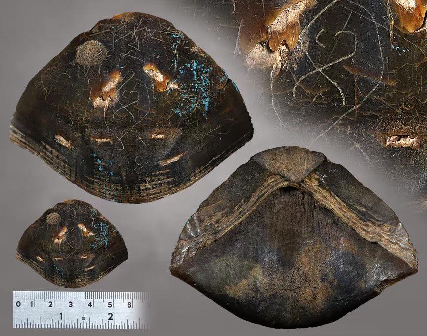 เกล็ดตัวนิ้มหลวงปู่ภูวัดท่าฬ่อ