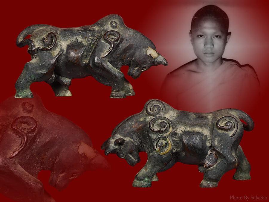 วัวธนูอาจารย์เณรวิเศษณ์ สิงห์คำ 