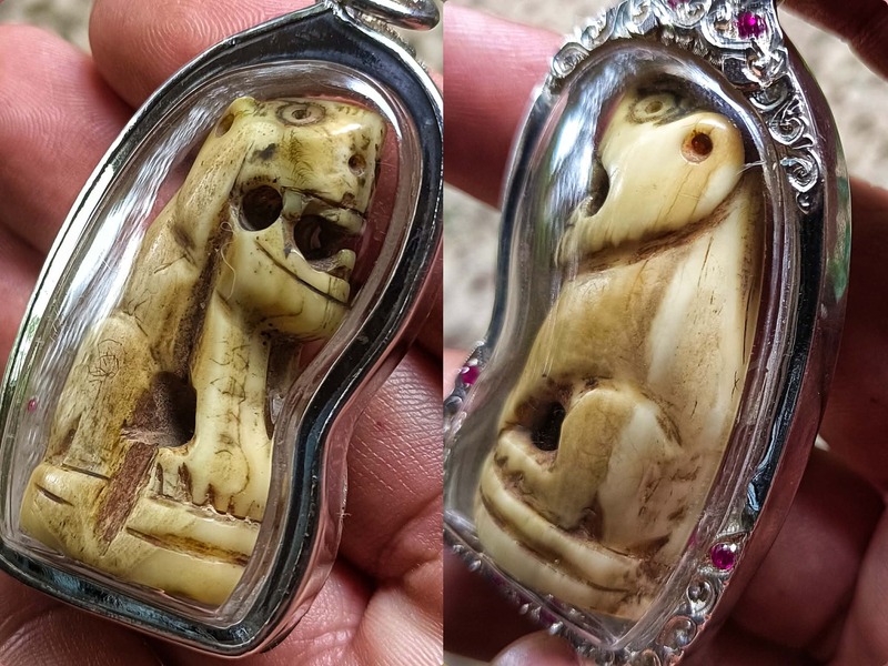 เสือมหาอำนาจครูบาหน้อย วัดบ้านปง2