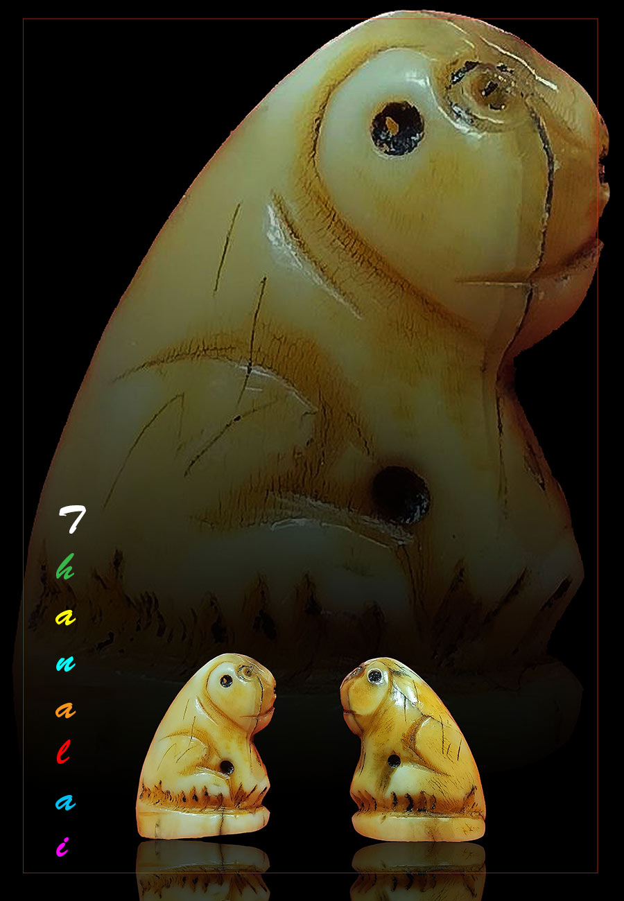 เสือครูบาน้อยวัดบ้านปงเชียงใหม่