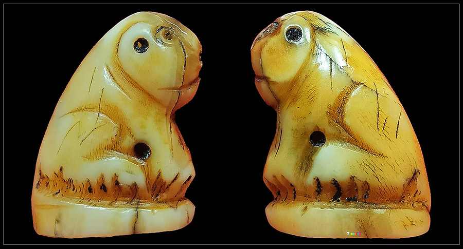 เสือครูบาน้อยวัดบ้านปงเชียงใหม่