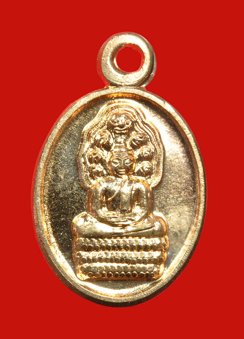 เหรียญเม็ดแตงพระนาคปรก รุ่นแรก หลวงปู่ครูบาอินถา วัดยั้งเมิน
