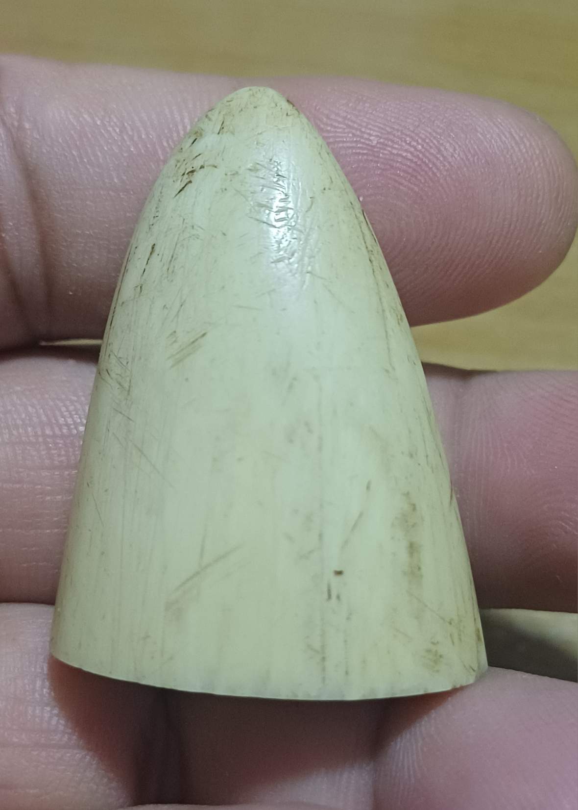 ปลายงา ขนาด 4 เซน รับประกันงาแท้ ขนาดตามรูป