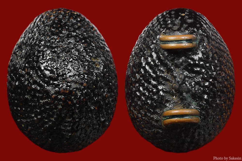 เบี้ยแก้หลวงปู่เจือ วัดกลางบางแก้ว 