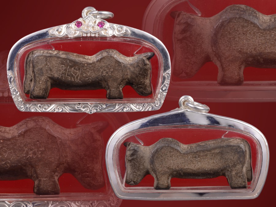 มหาว่านยาโบราณพม่า-ไทยใหญ่ รูปวัวธนู6