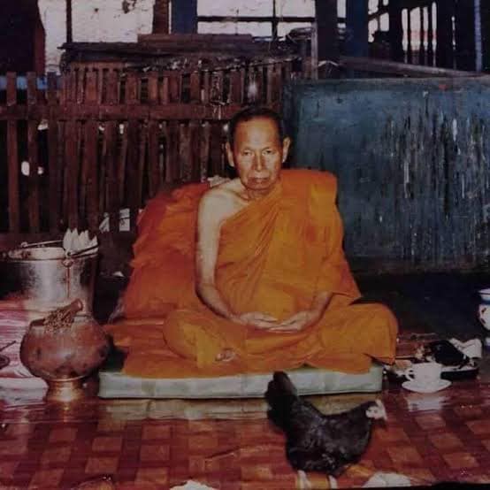 เต่าเรือนงิ้วดำหลวงปู่หน่ายวัดบ้านแจ้ง