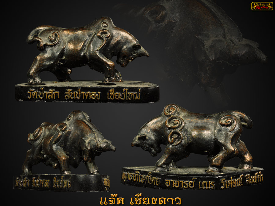 วัวธนู อ.เณร วิเศษ สิงห์คำ วัดป่าสัก เชียงใหม่ (ขนาดบูชาเฝ้าบ้าน) 