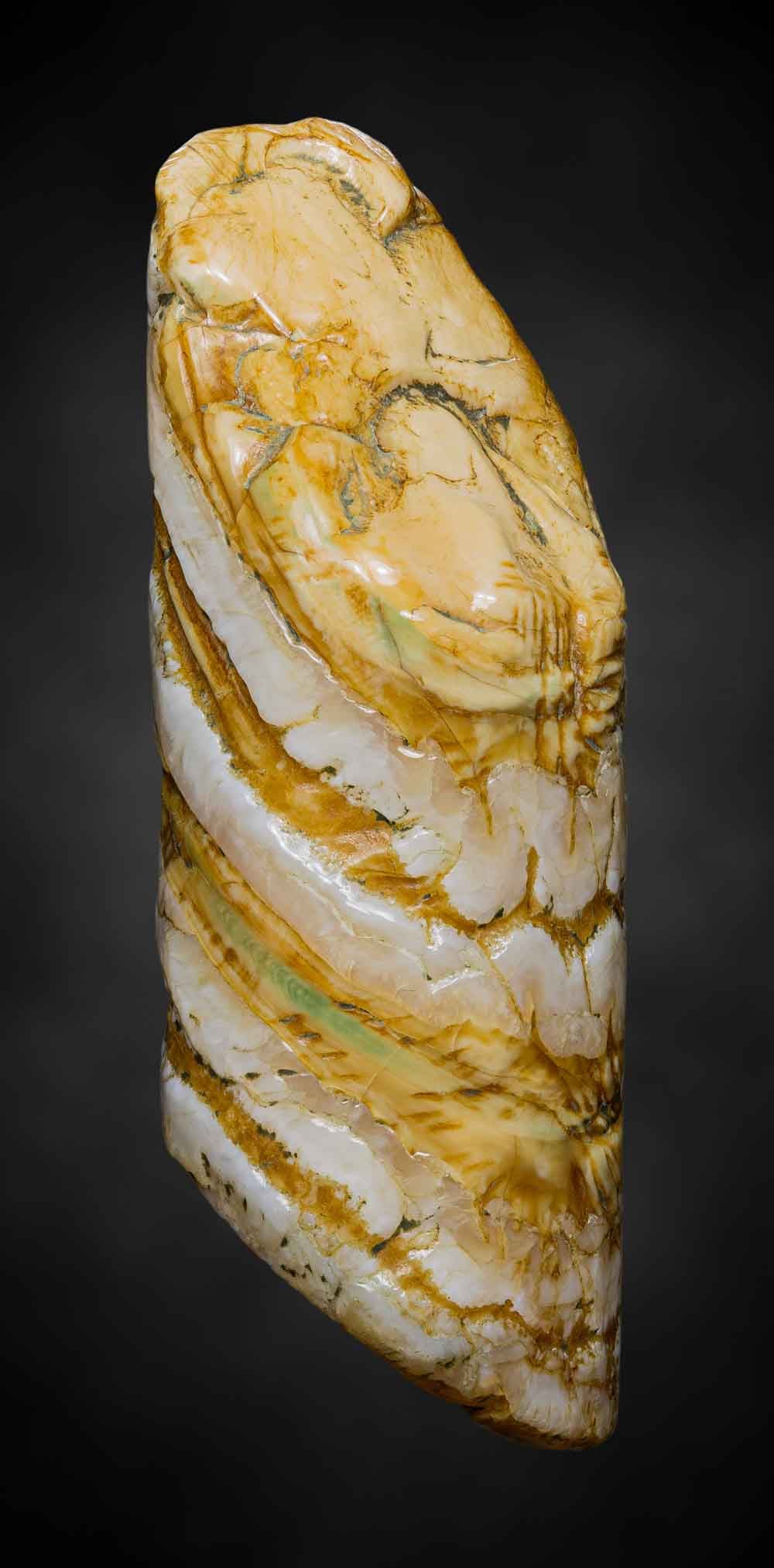 ของมงคลแปลก