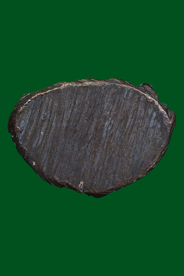 พระชัยวัฒน์อุ้มบาตรอ.เทพสาริกบุตรปี07