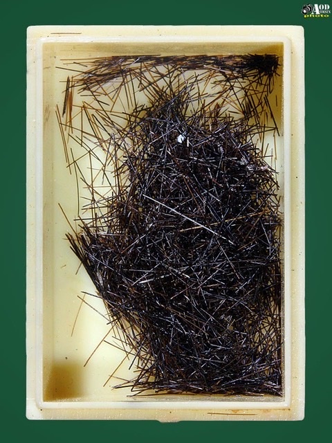 เส้นเกศาครูบาเจ้าอภิชัย(ขาวปี)