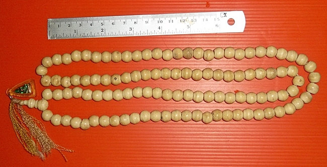 สร้อยประคำ โคนงา