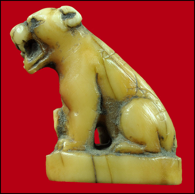 เสือสวยๆ เนื้อจัดๆ สวยตามภาพแน่นอนคับ