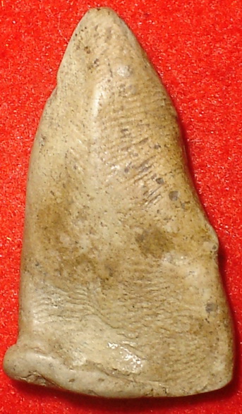 พระท่ามะปรางค์กรุเจดียอดทอง เนื้อดิน